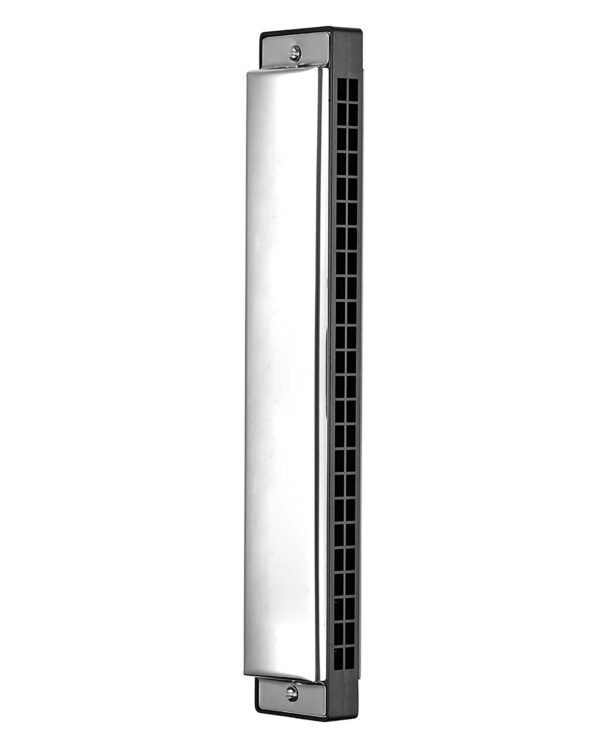 Harmonica Mouth Organ