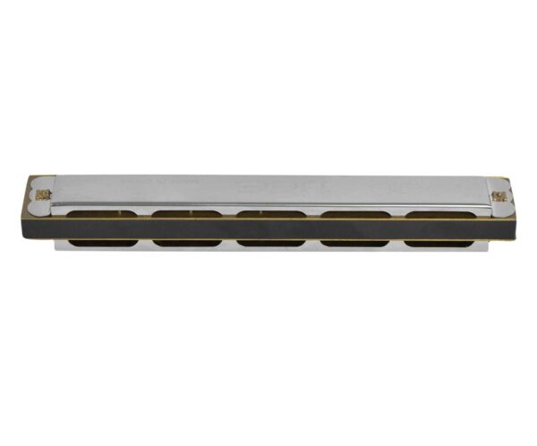 Harmonica Mouth Organ