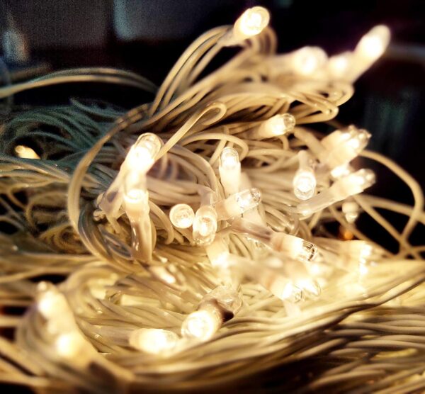 White Rice Lights Serial Bulbs Decoration Lighting for Diwali Christmas ...