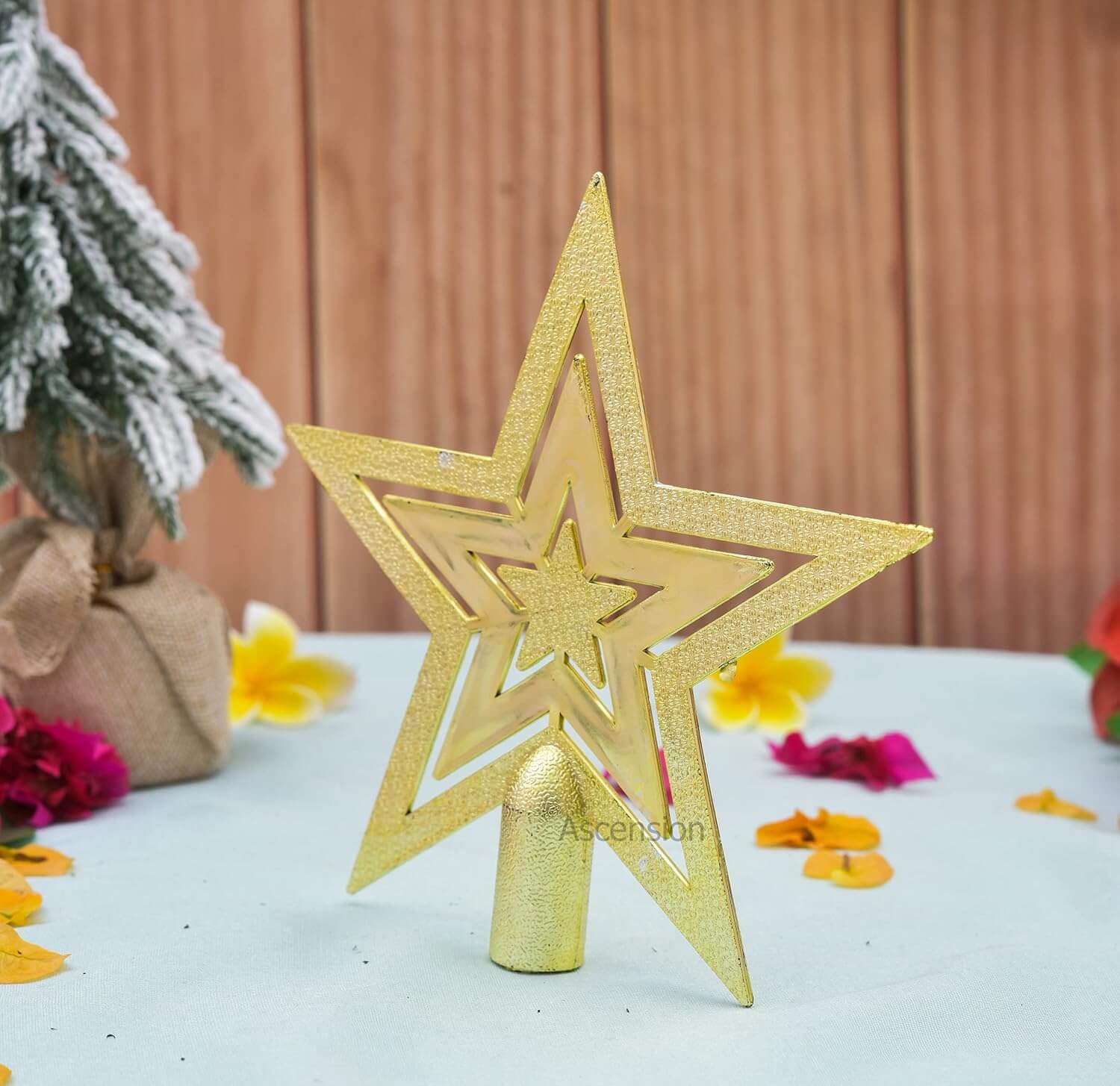 Christmas Star Tree Top