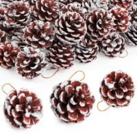 Ascension Christmas pine cones featuring a snowy frosted finish and golden hanging loops.