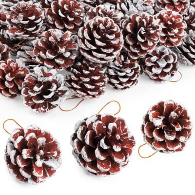 Ascension Christmas pine cones featuring a snowy frosted finish and golden hanging loops.