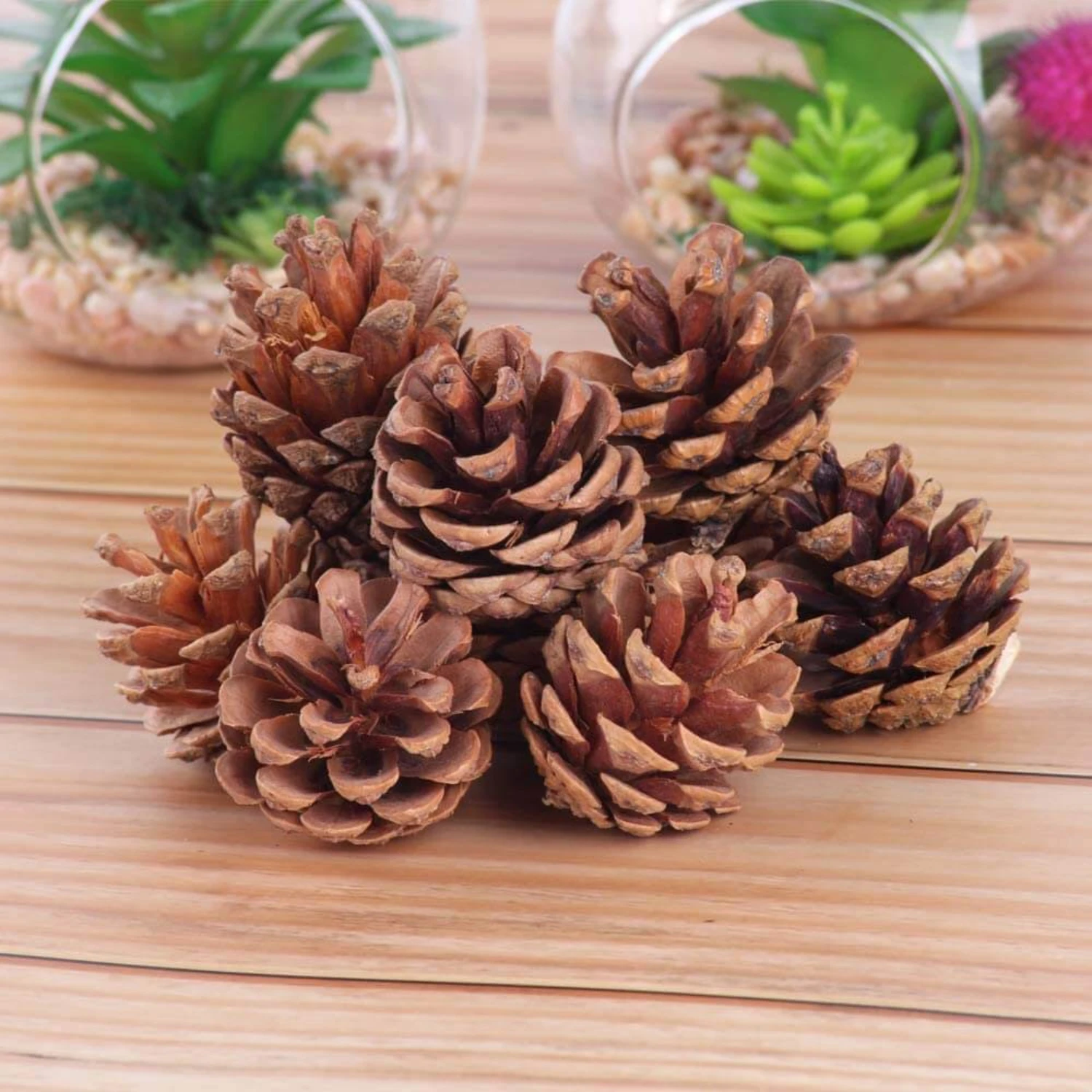 Ascension Natural Pine Cone Wooden Cones Hanging Pine Cone for Christmas (Brown) Pack of 6 Pine Cone for Christmas Tree Wreath Decoration Wooden Pine Cones Hanging Ornaments (Copy)