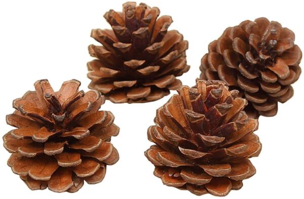 Wooden Pine Cone for Christmas Tree Wreath Decoration