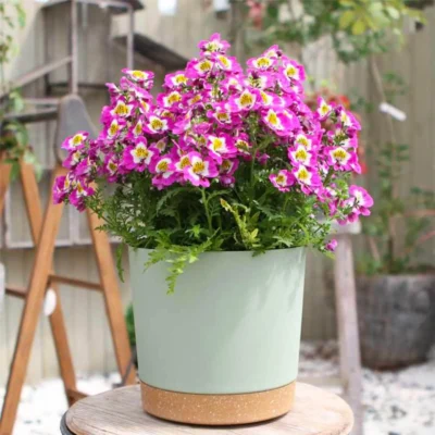Plastic Large Round/Bucket Decorative Flower Vase for Home, Office, Living Room