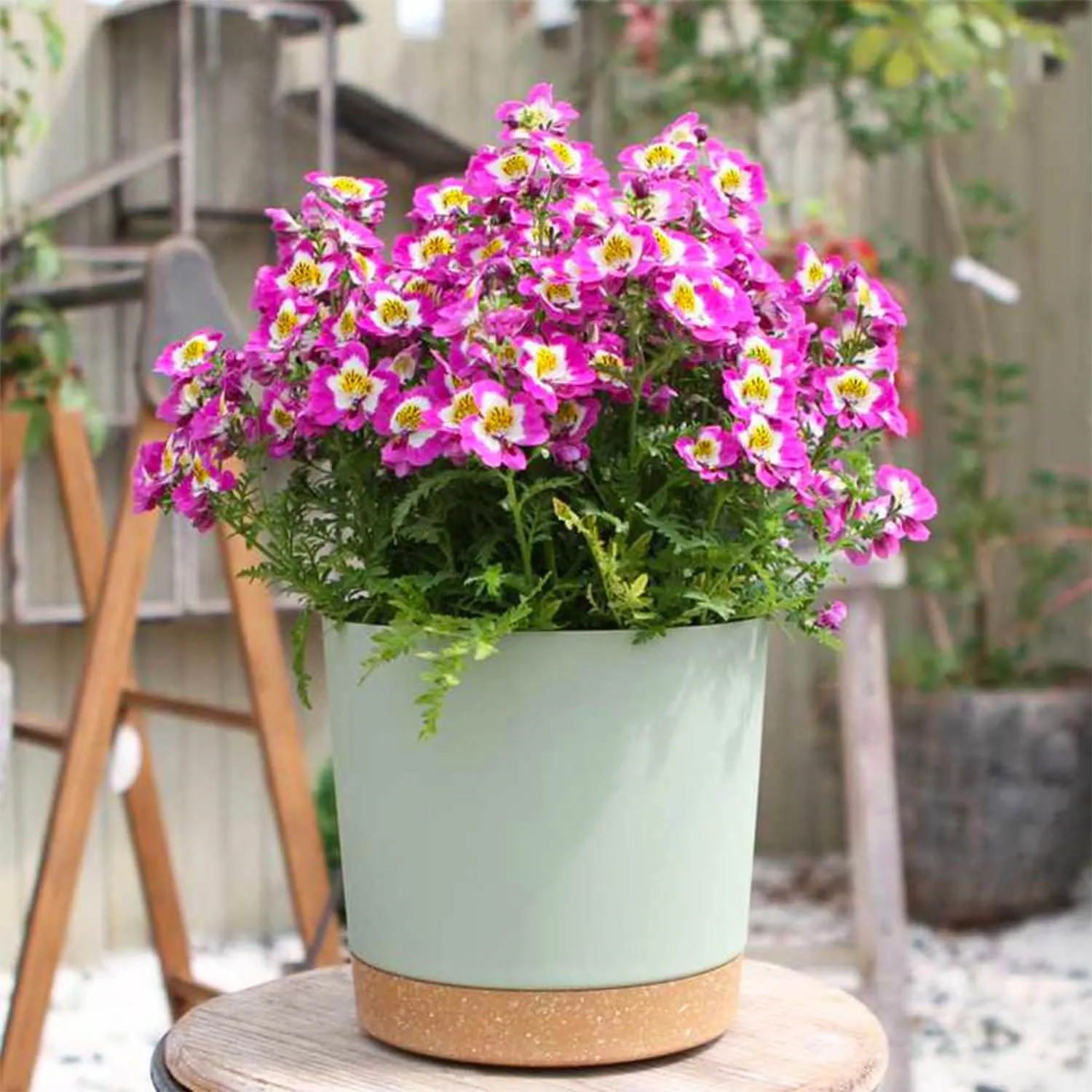 Plastic Medium Round/Bucket Decorative Flower Vase for Home, Office, Living Room