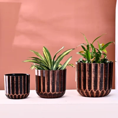 Plastic Pack of 3 Small Medium & Large Flower Pot for Living Room Decoration