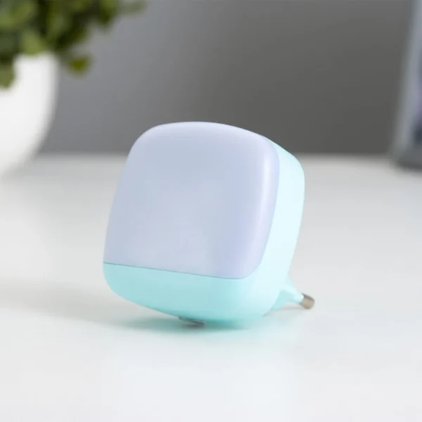 Decorative LED Night Lamp