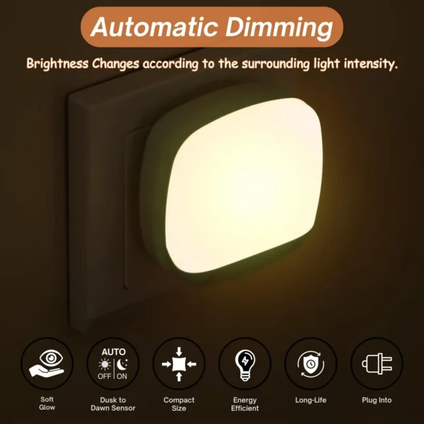 Decorative LED Night Lamp