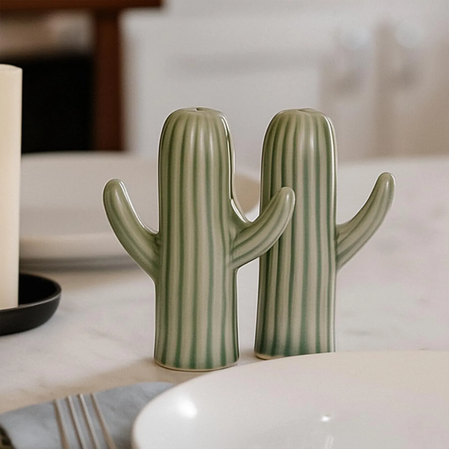 Ceramic Cactus Salt & Pepper Set