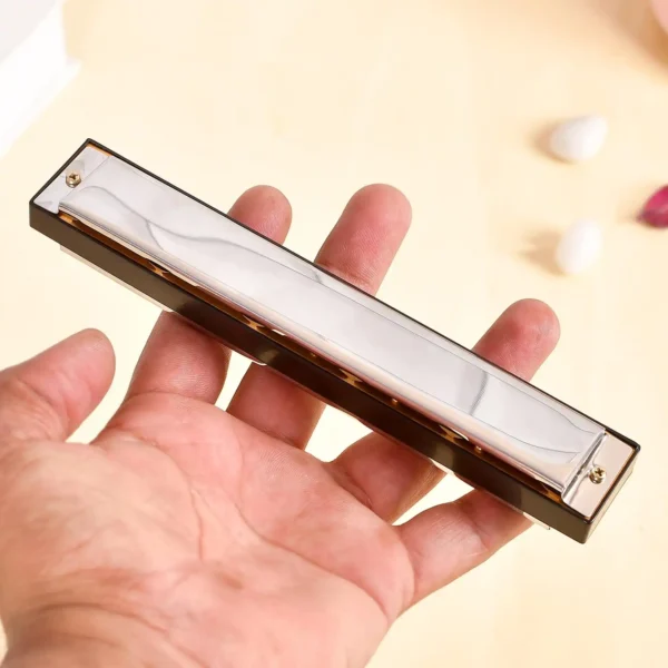 Harmonica Mouth Organ