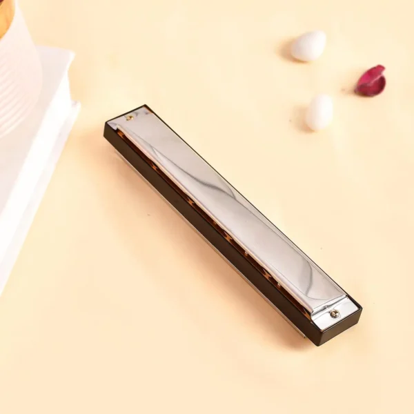 Harmonica Mouth Organ