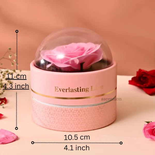Ascension Eternal Rose Dome Gift Pink