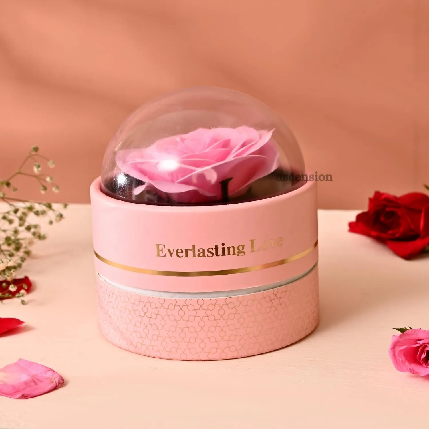 Ascension Eternal Rose Dome Gift Pink