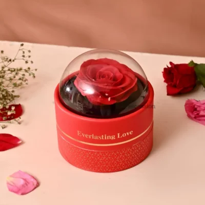 Ascension Eternal Rose Dome Gift Red