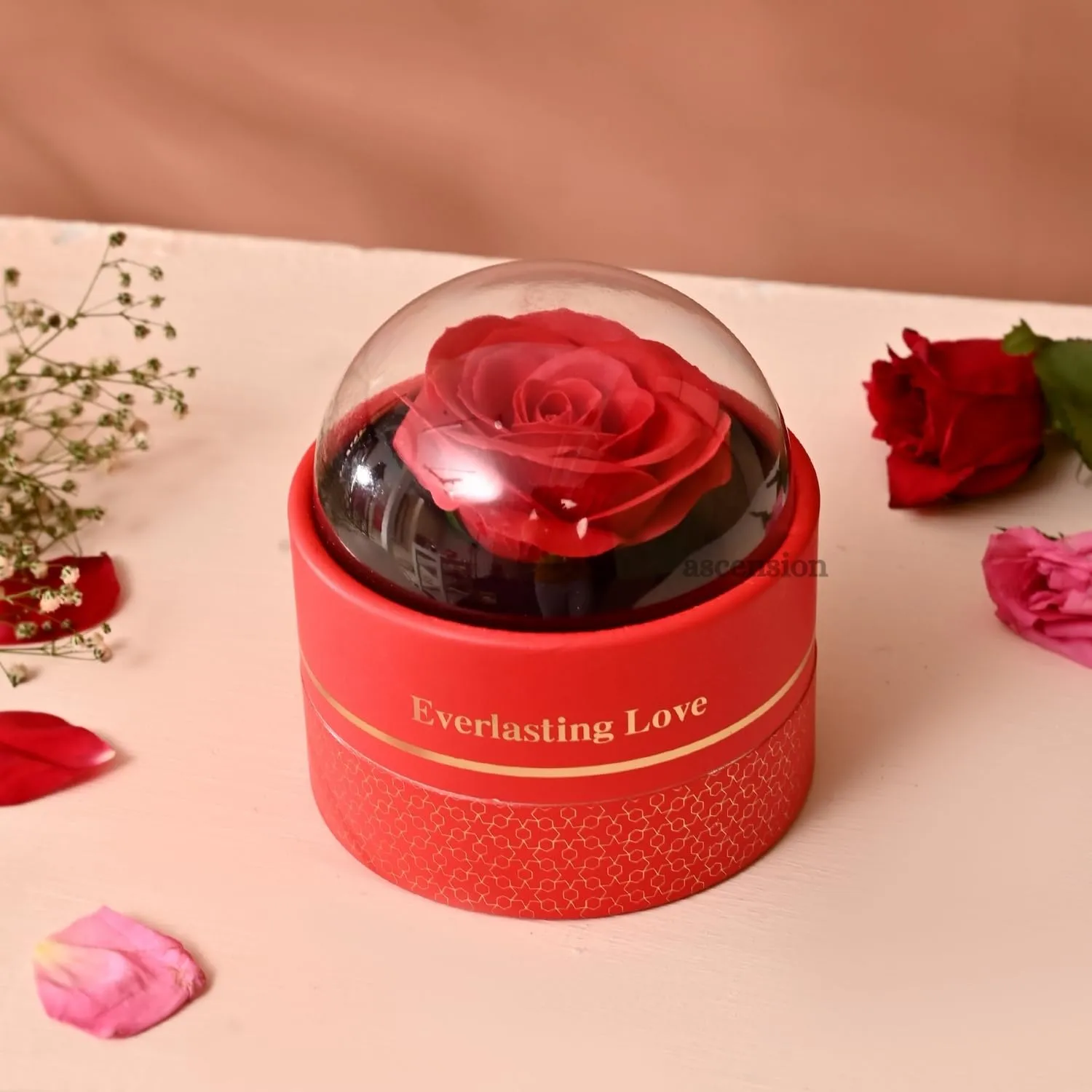 Ascension Eternal Rose Dome Gift Red