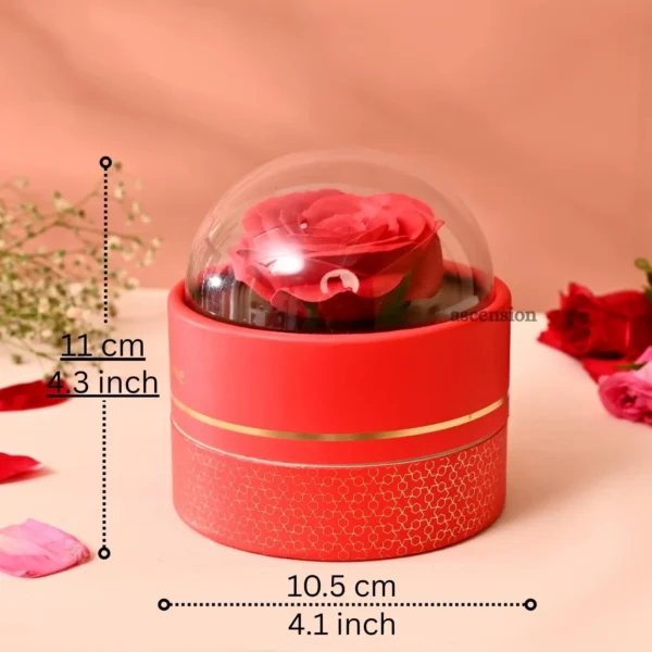 Ascension Eternal Rose Dome Gift Red
