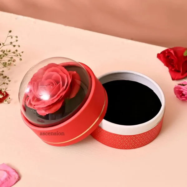 Ascension Eternal Rose Dome Gift Red