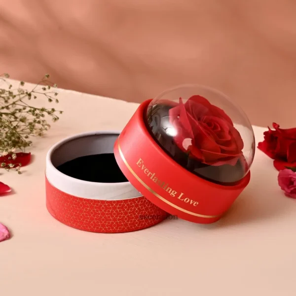 Ascension Eternal Rose Dome Gift Red