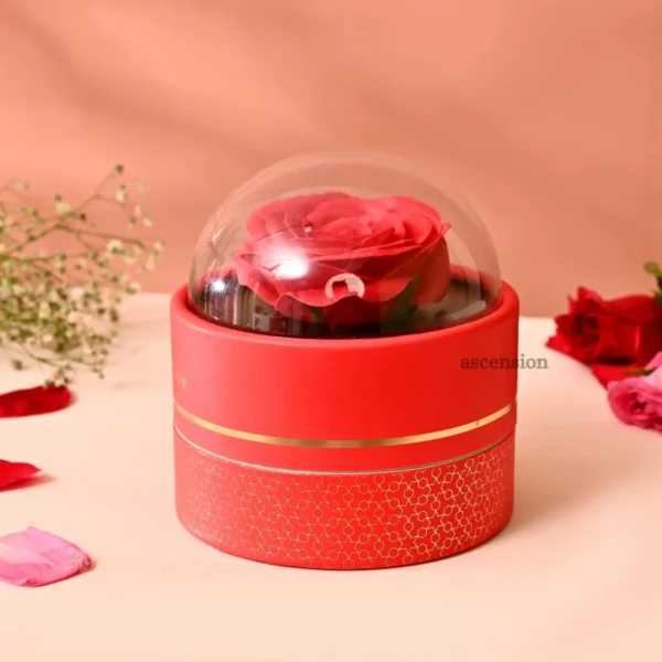 Ascension Eternal Rose Dome Gift Red