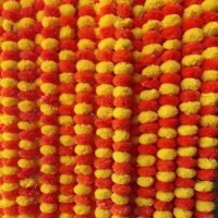 Densely arranged orange and yellow marigold flowers backdrop for festive home and venue decoration.