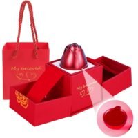 Ascension red rose jewelry gift box with pull-out drawers and a matching My Beloved gift bag on a white background.