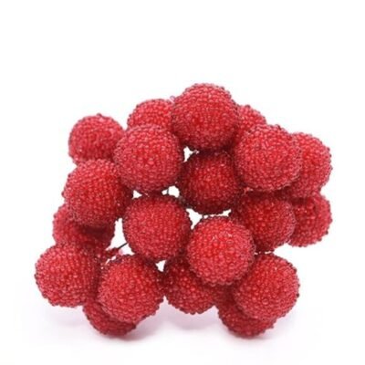 A cluster of round, textured artificial red berries on thin wire stems against a white background.