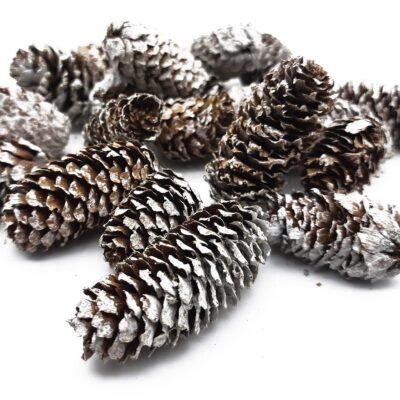 A pile of elongated brown pinecones with white frosted tips scattered on a white surface.